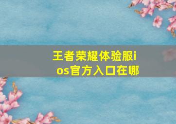 王者荣耀体验服ios官方入口在哪