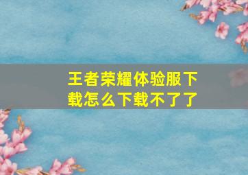 王者荣耀体验服下载怎么下载不了了