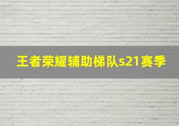 王者荣耀辅助梯队s21赛季