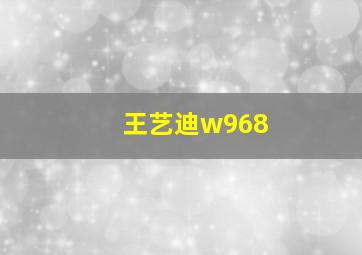 王艺迪w968