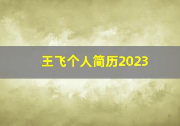 王飞个人简历2023