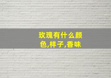 玫瑰有什么颜色,样子,香味