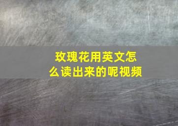 玫瑰花用英文怎么读出来的呢视频