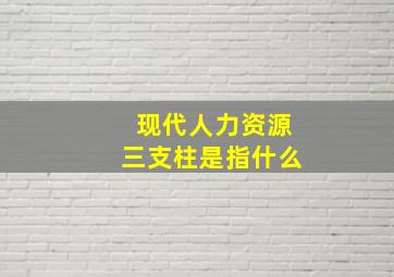 现代人力资源三支柱是指什么