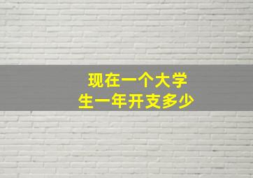 现在一个大学生一年开支多少