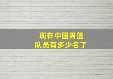 现在中国男篮队员有多少名了