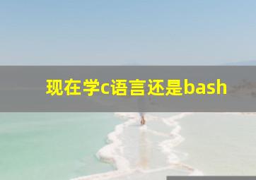 现在学c语言还是bash