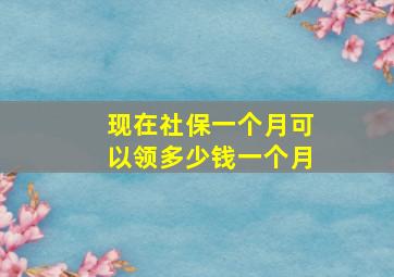 现在社保一个月可以领多少钱一个月