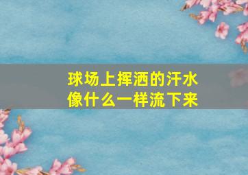 球场上挥洒的汗水像什么一样流下来