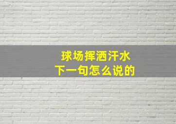 球场挥洒汗水下一句怎么说的