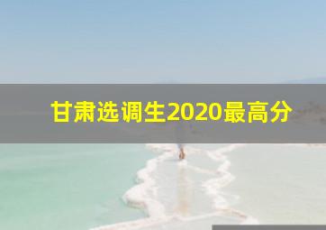 甘肃选调生2020最高分