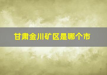 甘肃金川矿区是哪个市