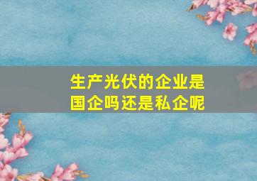 生产光伏的企业是国企吗还是私企呢