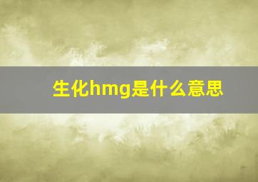 生化hmg是什么意思