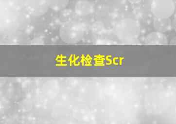 生化检查Scr