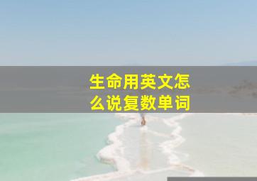 生命用英文怎么说复数单词