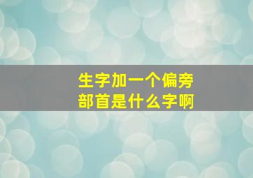 生字加一个偏旁部首是什么字啊