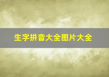 生字拼音大全图片大全