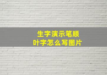 生字演示笔顺叶字怎么写图片