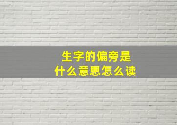 生字的偏旁是什么意思怎么读