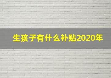 生孩子有什么补贴2020年