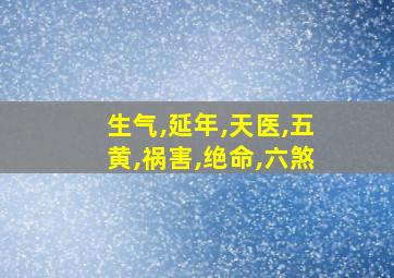 生气,延年,天医,五黄,祸害,绝命,六煞