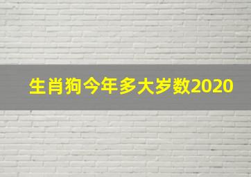 生肖狗今年多大岁数2020