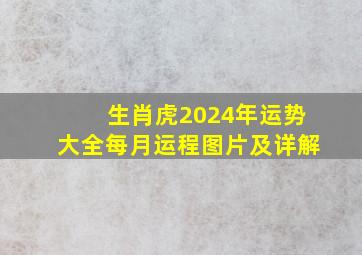 生肖虎2024年运势大全每月运程图片及详解