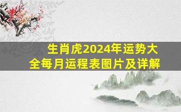 生肖虎2024年运势大全每月运程表图片及详解