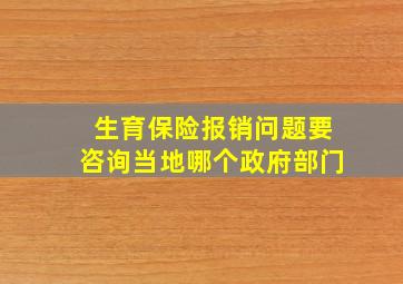 生育保险报销问题要咨询当地哪个政府部门