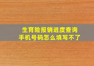 生育险报销进度查询手机号码怎么填写不了