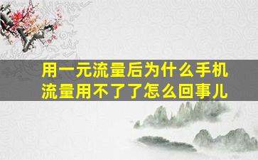 用一元流量后为什么手机流量用不了了怎么回事儿