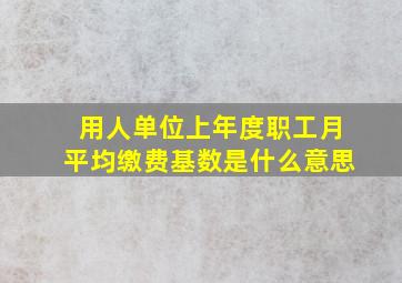 用人单位上年度职工月平均缴费基数是什么意思