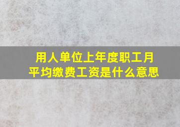 用人单位上年度职工月平均缴费工资是什么意思