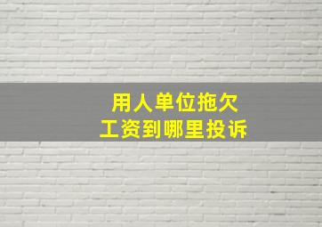 用人单位拖欠工资到哪里投诉