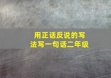 用正话反说的写法写一句话二年级