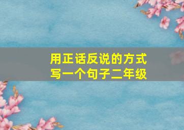 用正话反说的方式写一个句子二年级