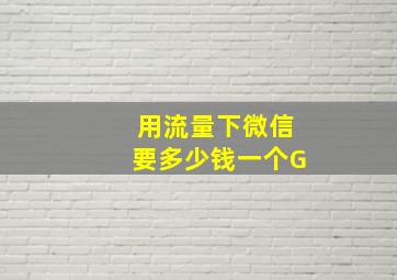 用流量下微信要多少钱一个G