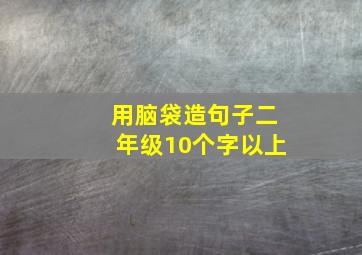 用脑袋造句子二年级10个字以上