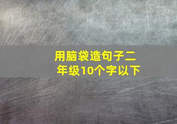 用脑袋造句子二年级10个字以下