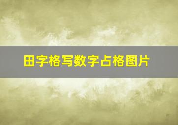 田字格写数字占格图片