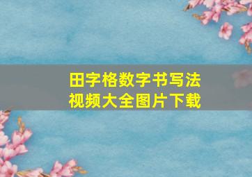 田字格数字书写法视频大全图片下载