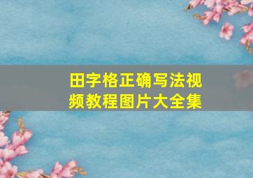 田字格正确写法视频教程图片大全集