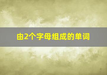 由2个字母组成的单词