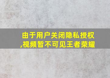 由于用户关闭隐私授权,视频暂不可见王者荣耀