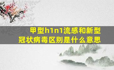 甲型h1n1流感和新型冠状病毒区别是什么意思