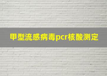 甲型流感病毒pcr核酸测定