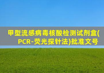 甲型流感病毒核酸检测试剂盒(PCR-荧光探针法)批准文号