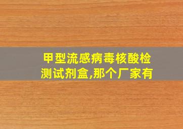 甲型流感病毒核酸检测试剂盒,那个厂家有