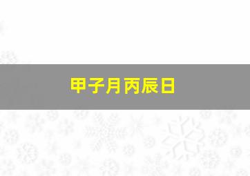 甲子月丙辰日